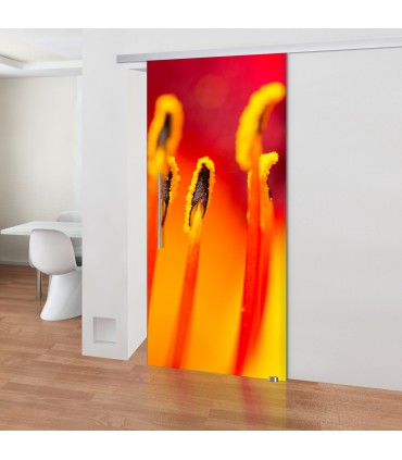 Fenster